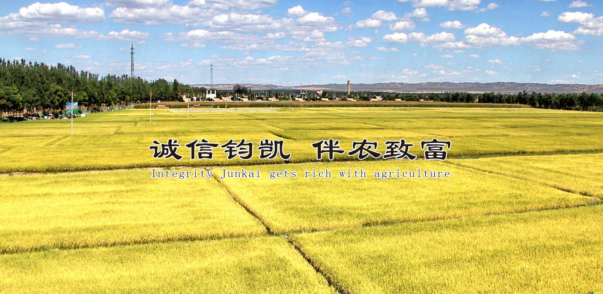 寧夏鈞凱種業有限公司