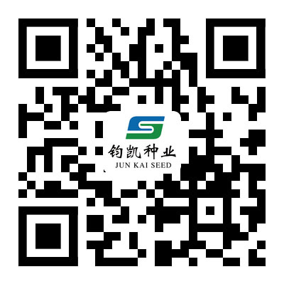 微信公眾號